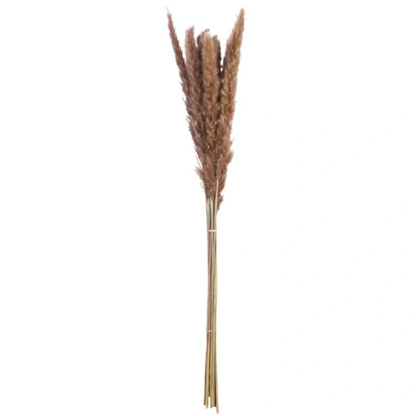 Δέσμη Πάμπας Γρασίδι Συνθετικό Καφέ 70cm
