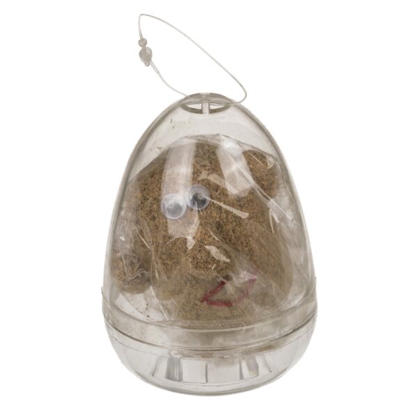 Πρόσωπο Γρασίδας Σε Πλαστικό Αβγό 8cm