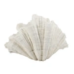 CORALLI VASE 57x31x36 POLYRESIN WHITE