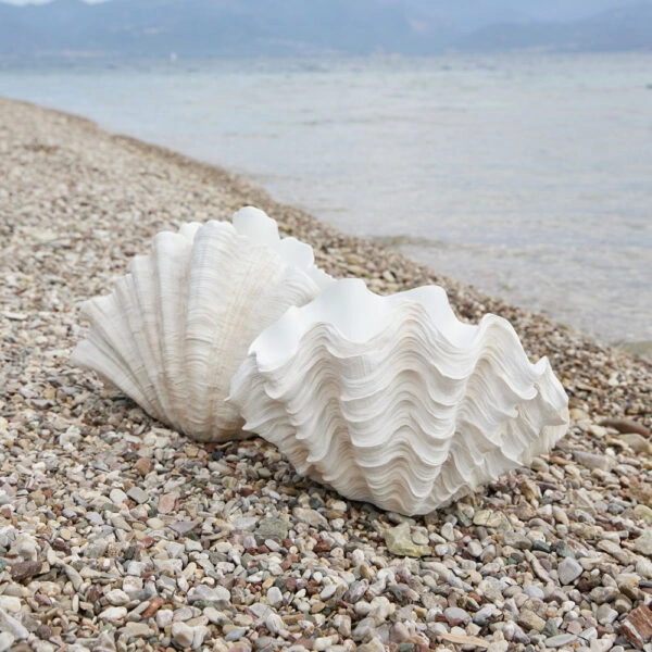 CORALLI VASE 57x31x36 POLYRESIN WHITE