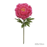 ΚΛΑΔΙ ΠΑΙΩΝΙΑ ΦΟΥΞ ΓΙΓΑΣ - Φ28x100cm 12/ΚΙΒ