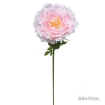 ΚΛΑΔΙ ΠΑΙΩΝΙΑ ΡΟΖ ΓΙΓΑΣ - Φ40x130cm 12/ΚΙΒ