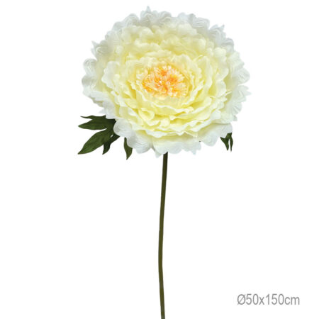 ΚΛΑΔΙ ΠΑΙΩΝΙΑ ΚΙΤΡΙΝΟ ΓΙΓΑΣ - Φ50x150cm 8/ΚΙΒ