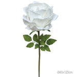 ΚΛΑΔΙ ΤΡΙΑΝΤΑΦΥΛΛΟ ΣΑΜΠΑΝΙ ΓΙΓΑΣ - Φ40x125cm 6/ΚΙΒ