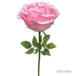 ΚΛΑΔΙ ΤΡΙΑΝΤΑΦΥΛΛΟ ΦΟΥΞ ΓΙΓΑΣ - Φ50x136cm 6/ΚΙΒ