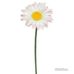 ΚΛΑΔΙ ΜΑΡΓΑΡΙΤΑ ΡΟΖ ΓΙΓΑΣ- Φ30x90cm 24/ΚΙΒ