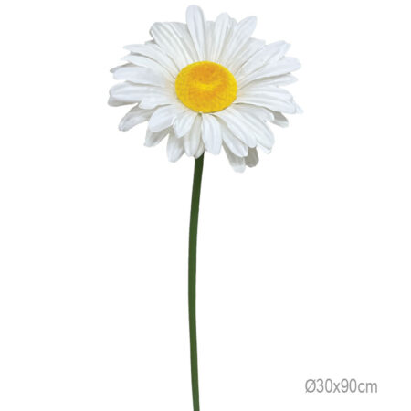 ΚΛΑΔΙ ΜΑΡΓΑΡΙΤΑ ΛΕΥΚΟ ΓΙΓΑΣ - Φ30x90cm 24/ΚΙΒ