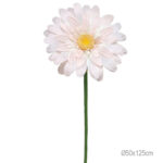 ΚΛΑΔΙ ΜΑΡΓΑΡΙΤΑ ΡΟΖ ΓΙΓΑΣ - Φ50x125cm 24/ΚΙΒ