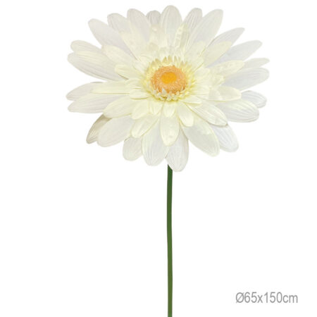 ΚΛΑΔΙ ΜΑΡΓΑΡΙΤΑ ΕΚΡΟΥ ΓΙΓΑΣ - Φ65x150cm 12/ΚΙΒ