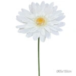 ΚΛΑΔΙ ΜΑΡΓΑΡΙΤΑ ΛΕΥΚΟ ΓΙΓΑΣ XXL - 65x65x150cm 12/ΚΙΒ