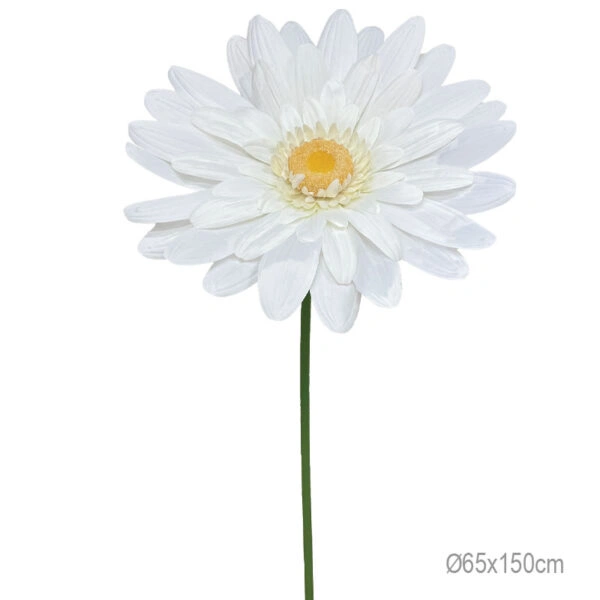 ΚΛΑΔΙ ΜΑΡΓΑΡΙΤΑ ΛΕΥΚΟ ΓΙΓΑΣ XXL - 65x65x150cm 12/ΚΙΒ