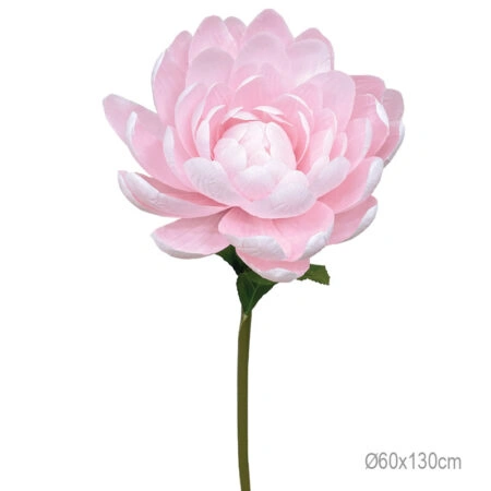 ΚΛΑΔΙ ΝΟΥΦΑΡΟ ΡΟΖ ΓΙΓΑΣ - Φ60x130cm 6/ΚΙΒ