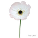 ΚΛΑΔΙ ΑΝΕΜΩΝΗ ΡΟΖ ΓΙΓΑΣ - Φ45x128cm 12/ΚΙΒ