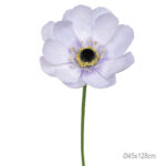 ΚΛΑΔΙ ΑΝΕΜΩΝΗ ΛΙΛΑ ΓΙΓΑΣ - Φ45x128cm 12/ΚΙΒ