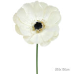 ΚΛΑΔΙ ΑΝΕΜΩΝΗ ΕΚΡΟΥ ΓΙΓΑΣ - Φ55x150cm 12/ΚΙΒ