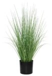 ONION GRASS TREE  NP1009_60 ΥΨΟΣ 60cm NewPlan