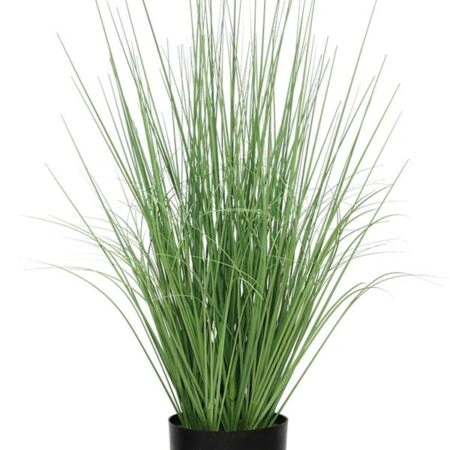 ONION GRASS TREE  NP1009_60 ΥΨΟΣ 60cm NewPlan