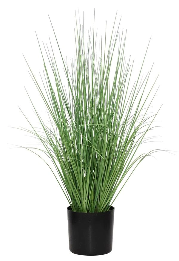 ONION GRASS TREE  NP1009_60 ΥΨΟΣ 60cm NewPlan