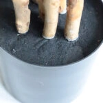 DRACAENA  NP_325_180  ΥΨΟΣ 180cm NewPlan