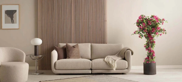 BOUGAINVILLEA  NP_34_160  ΥΨΟΣ 160cm