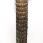 AGAVE TREE  NP802_160  ΥΨΟΣ 160cm NewPlan
