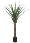 AGAVE TREE  NP802_160  ΥΨΟΣ 160cm NewPlan
