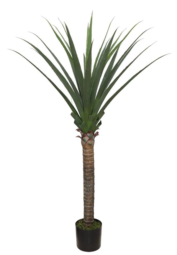 AGAVE TREE  NP802_160  ΥΨΟΣ 160cm NewPlan