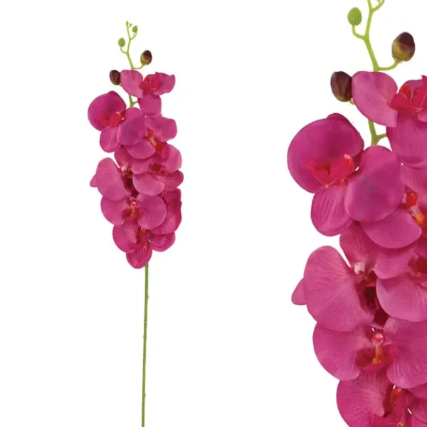 ΚΛΑΔΙ ΟΡΧΙΔΕΑ ΦΟΥΞ Υ90cm 12/120KIB