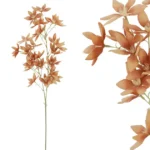 ΚΛΑΔΙ ΚΑΦΕ ΑΣΤΕΡΟΕΙΔΕΣ Φ36/97cm 36/360ΚΙΒ