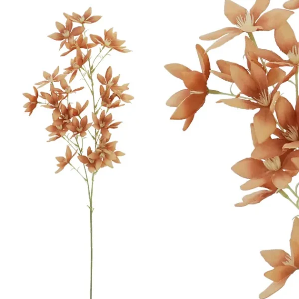 ΚΛΑΔΙ ΚΑΦΕ ΑΣΤΕΡΟΕΙΔΕΣ Φ36/97cm 36/360ΚΙΒ