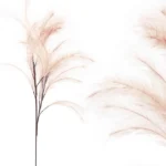 FOAM ΣΟΜΟΝ  ΠΟΥΠΟΥΛΑ - Y113/60cm 12/120KIB