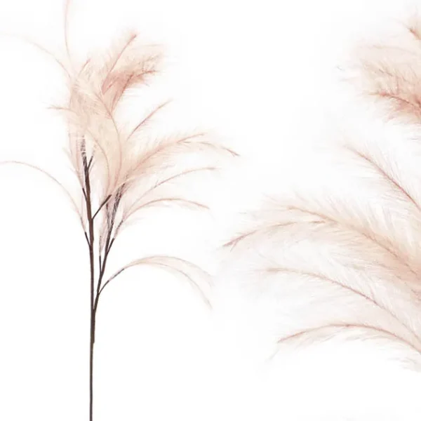 FOAM ΣΟΜΟΝ  ΠΟΥΠΟΥΛΑ - Y113/60cm 12/120KIB