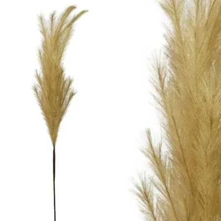 FOAM ΦΥΣΙΚΟ ΧΡΩΜΑ  PAMPAS Y117/64cm 12/120KIB