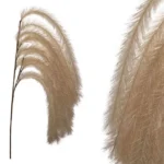 FOAM ΦΥΣΙΚΟ  ΠΟΥΠΟΥΛΟ ΚΡΕΜΑΣΤΟ Y146/92cm 12/120KIB