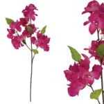 ΚΛΑΔΙ ΒΟΥΚΑΜΒΙΛΙΑΣ ΦΟΥΞ - Υ108cm 48/288KIB