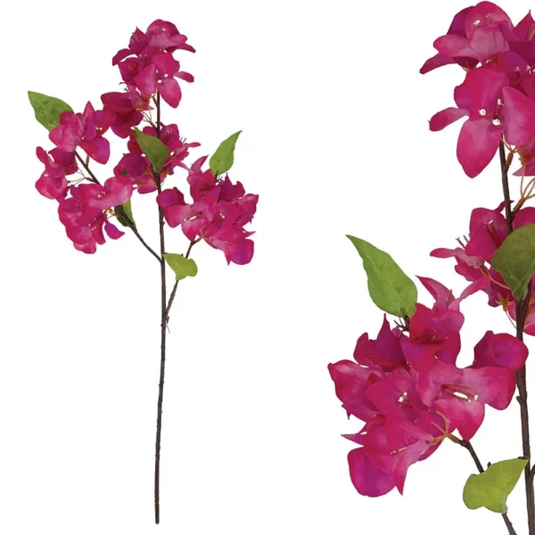 ΚΛΑΔΙ ΒΟΥΚΑΜΒΙΛΙΑΣ ΦΟΥΞ - Υ108cm 48/288KIB