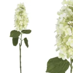 ΚΛΑΔΙ ΟΡΤΑΝΣΙΑ REAL TOUCH ΛΕΥΚΟ ΜΕ 1 ΚΛΑΔΙ - Υ74cm 12/144ΚΙΒ