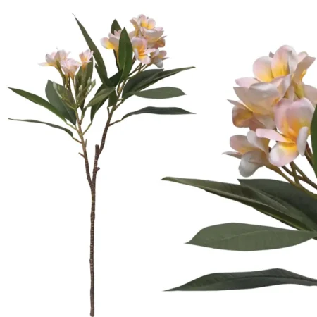 ΚΛΑΔΙ ΠΛΟΥΜΕΡΙΑ ΣΟΜΟΝ REAL TOUCH ΜΕ 2 ΚΛΑΔΙΑ ~ 10 ΛΟΥΛΟΥΔΙΑ - Υ83cm 12/96ΚΙΒ