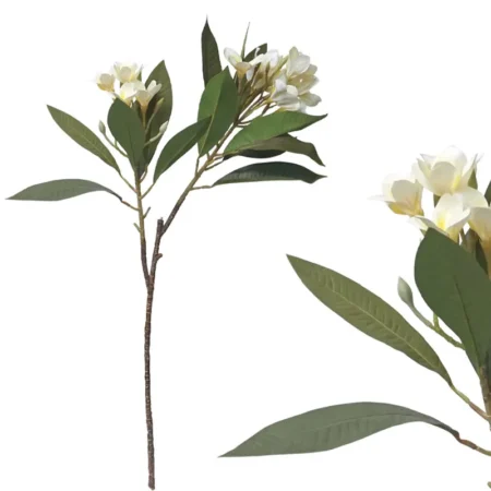 ΚΛΑΔΙ ΠΛΟΥΜΕΡΙΑ ΛΕΥΚΟ REAL TOUCH ΜΕ 2 ΚΛΑΔΙΑ ~ 10 ΛΟΥΛΟΥΔΙΑ - Υ83cm 12/96ΚΙΒ