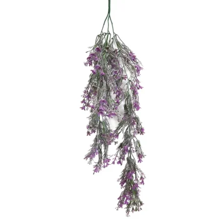 ΡΙΖΑ ΚΡΕΜΑΣΤΗ ΦΟΥΞ ΛΕΒΑΝΤΑ ΠΡΑΣΙΝΑΔΑ - Υ80cm 3/48ΚΙΒ