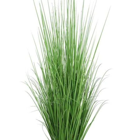 ONION GRASS TREE NP1011_120 ΥΨΟΣ 120cm NewPlan