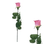 ΚΛΑΔΙ ΜΠΑΚΑΡΑΣ ΡΟΖ MONO Υ64cm. 48/576KIB