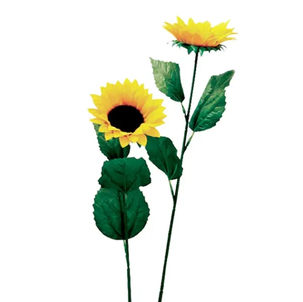 ΚΛΑΔΙ ΗΛΙΟΣ Y67cm. 24/288KIB