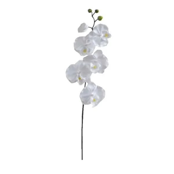 ΚΛΑΔΙ ΟΡΧΙΔΕΑ ΛΕΥΚΟ Y72cm. 36/432ΚΙΒ
