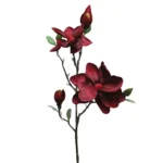 ΚΛΑΔΙ ΜΑΝΩΛΙΑ ΚΟΚΚΙΝΟ Y83cm. 12/144KIB