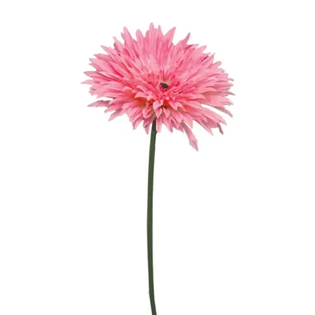 ΚΛΑΔΙ ΖΕΡΜΠΕΡΑ ΡΟΖ Υ86cm 24/288KIB