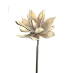 FOAM ΜΠΕΖ ΝΟΥΦΑΡΟ Y75cm. 24/240ΚΙΒ