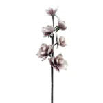 FOAM ΕΚΡΟΥ/ΚΑΦΕ ΟΡΧΙΔΕΑ Y79cm. 6/60ΚΙΒ