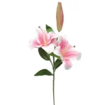 ΚΛΑΔΙ ΛΙΛΥ ΡΟΖ Χ3 MONO Y80cm. 12/120KIB