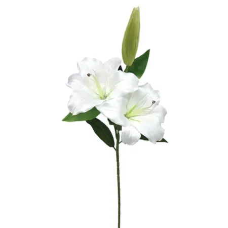 ΚΛΑΔΙ ΛΙΛΥ ΛΕΥΚΟ X3 MONO Y80cm. 12/120KIB